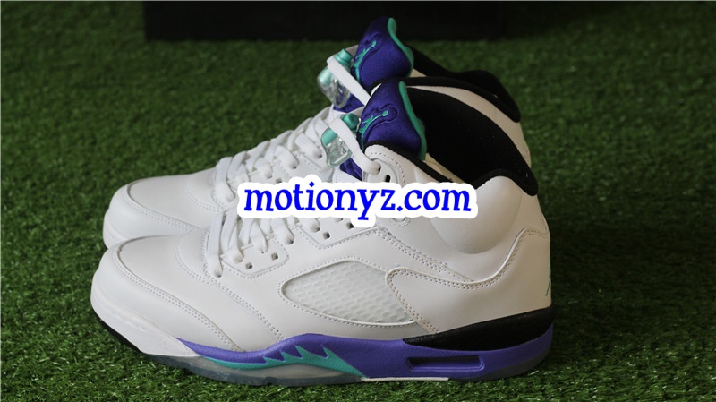 Authentic Air Jordan 5 Retro Grapes